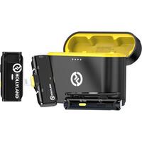 MICROFONO INLAMBRICO SISTEMA DE 2 UN. LARK C1 DUO