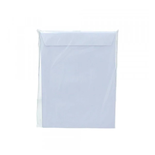 SOBRE SACO REVISTA BLANCO 80GR. 25UN.