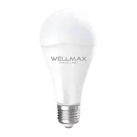 AMPOLLETA LED TIPO BALLET/LUZ FRIA 11W/A60/E27/172971